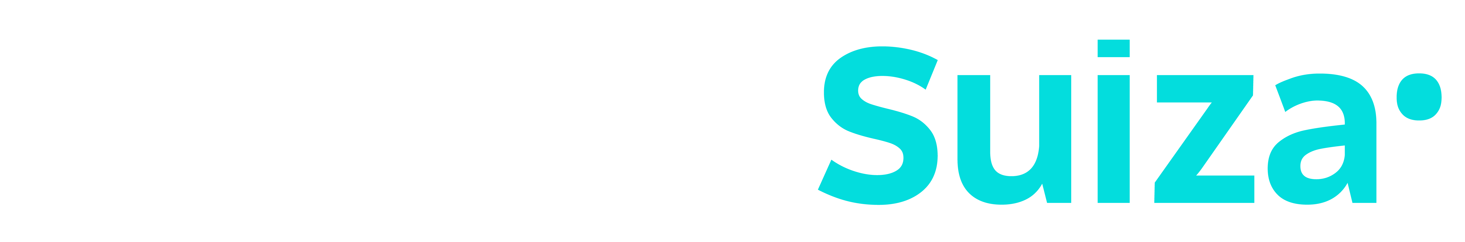 Logo cliente 1